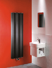 Полотенцесушители Zehnder Dualis Plus (Зендер Дуалис Плюс)