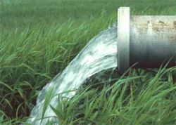 Бытовые насосы для скважин и колодцев Grundfos